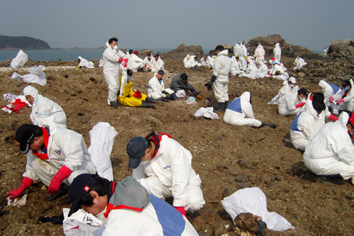 분당지점, 요식업중앙회와 태안 기름제거 작업 활동 펼쳐